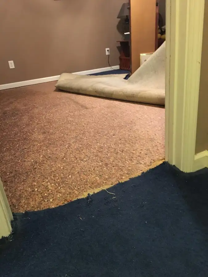 Carpet pad removal revealing water damage during Water Mitigation Services in Coon Rapids