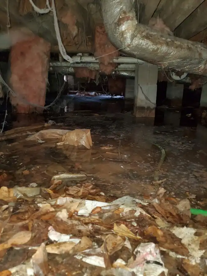 Crawl space flood assessment for Leak Detection & Repair in Coon Rapids